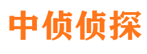 乾安市私家侦探